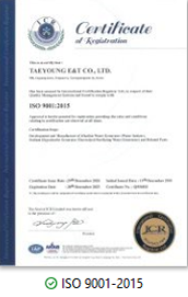 Tyent ISO 9001